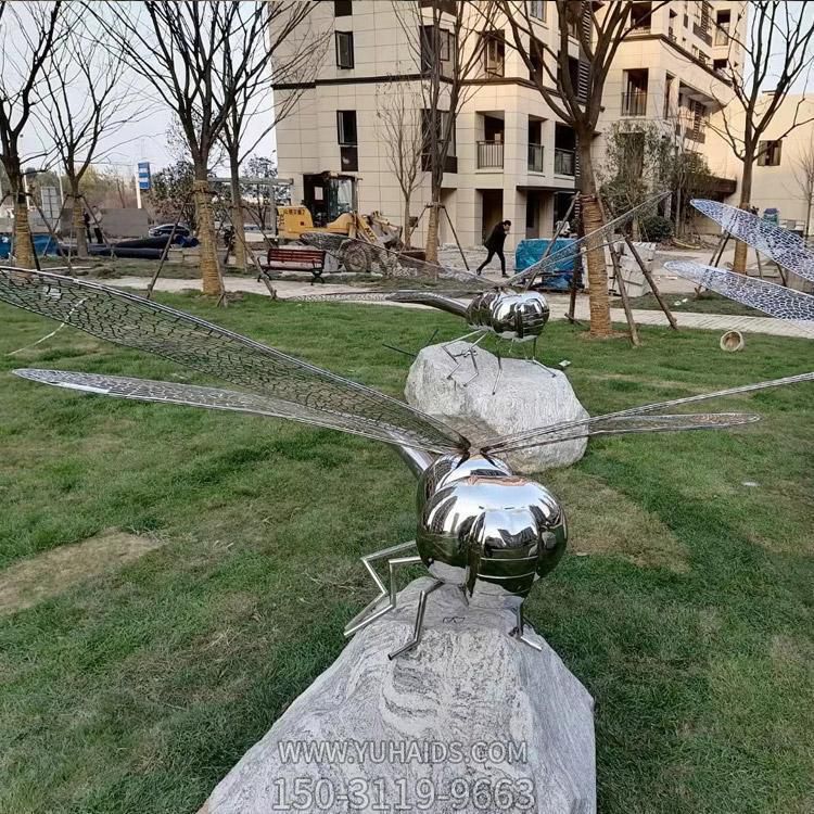 不銹鋼蜻蜓，身體是鏡面效果，翅膀由鐵藝網格構成雕塑